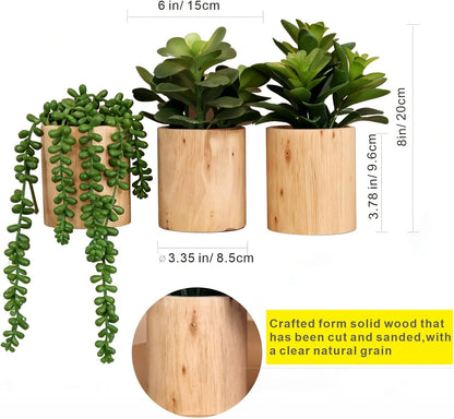 Artificial Succulents Plastic Artificial Green Plant for Office, Fake Succulents for Home Decoration (Set of 2 Succlents in Pots)