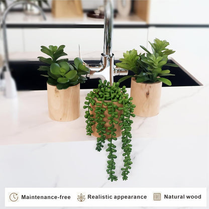 Artificial Succulents Plastic Artificial Green Plant for Office, Fake Succulents for Home Decoration (Set of 2 Succlents in Pots)