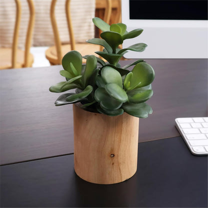 Artificial Succulents Plastic Artificial Green Plant for Office, Fake Succulents for Home Decoration (Set of 2 Succlents in Pots)