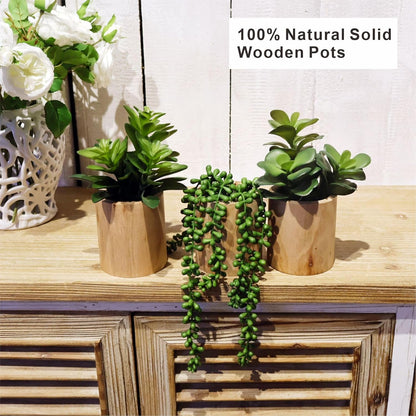 Artificial Succulents Plastic Artificial Green Plant for Office, Fake Succulents for Home Decoration (Set of 2 Succlents in Pots)