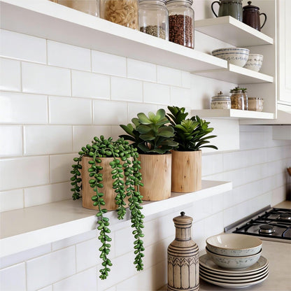 Artificial Succulents Plastic Artificial Green Plant for Office, Fake Succulents for Home Decoration (Set of 2 Succlents in Pots)