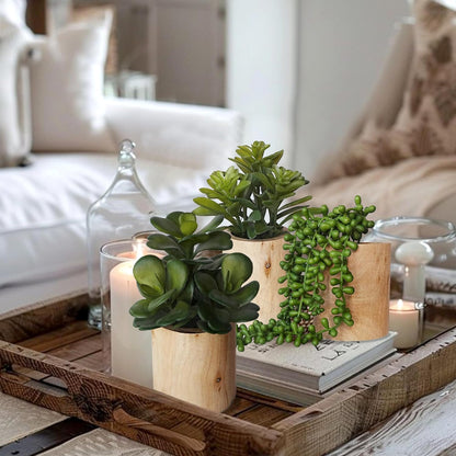 Artificial Succulents Plastic Artificial Green Plant for Office, Fake Succulents for Home Decoration (Set of 2 Succlents in Pots)
