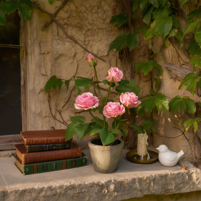 Rose in Pot Decor Potted Artificial Flowers Mini Plants Faux Flowers Indoor Small Decor Fake Roses for Home, Bathroom, Kitchen, Offices, Wedding Party Centerpieces (Yellow)