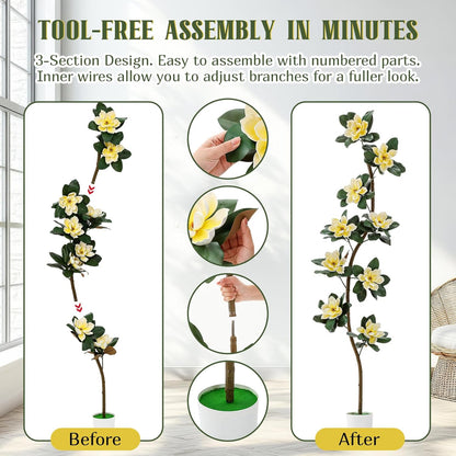 7 ft Artificial Rubber Tree with 9 Magnolia Flowers in Pot Extra Tall Faux Magnolia Tree Fake Plant Indoor Floor Plant for Indoor Living Room Office Home Decor