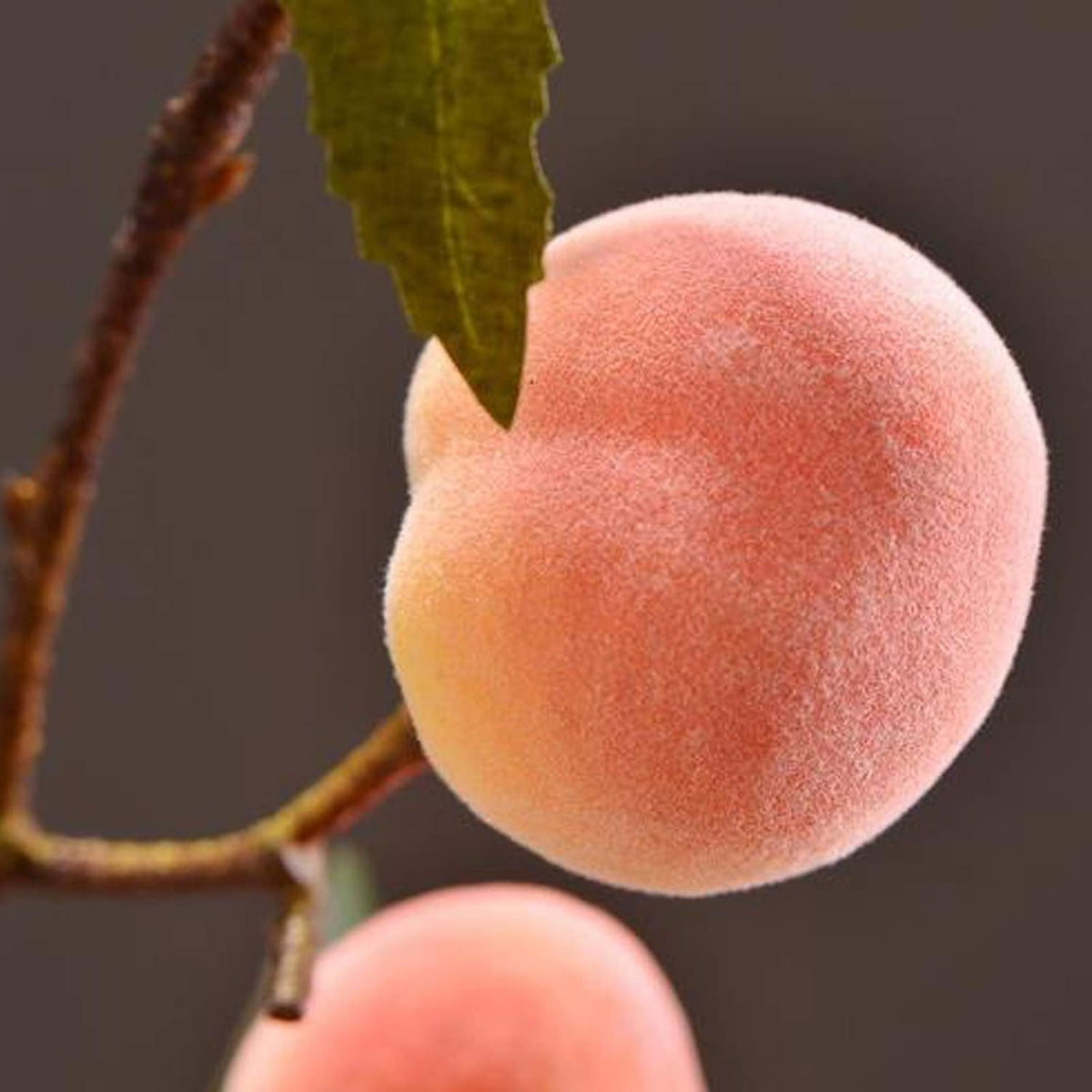 2 Pcs Artificial Peach Branches, 18 Inch Real Touch Fake Peach with Green Leaves Simulation Peach Tree Stems Faux Plants Flower Arrangement for Vase Wedding Photography Props Decor