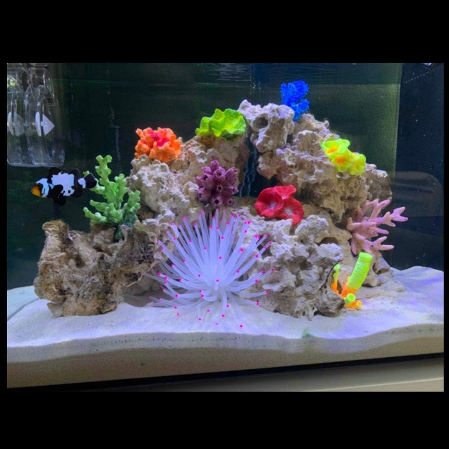 Artificial Aquarium Fish Tank Decoration Silicone Sea Anemone Artificial Fish Tank Ornament Decoration (White)