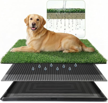 Grass Pad for Dogs Potty, 3-Layer Reusable, Washable, 30 x 20 in