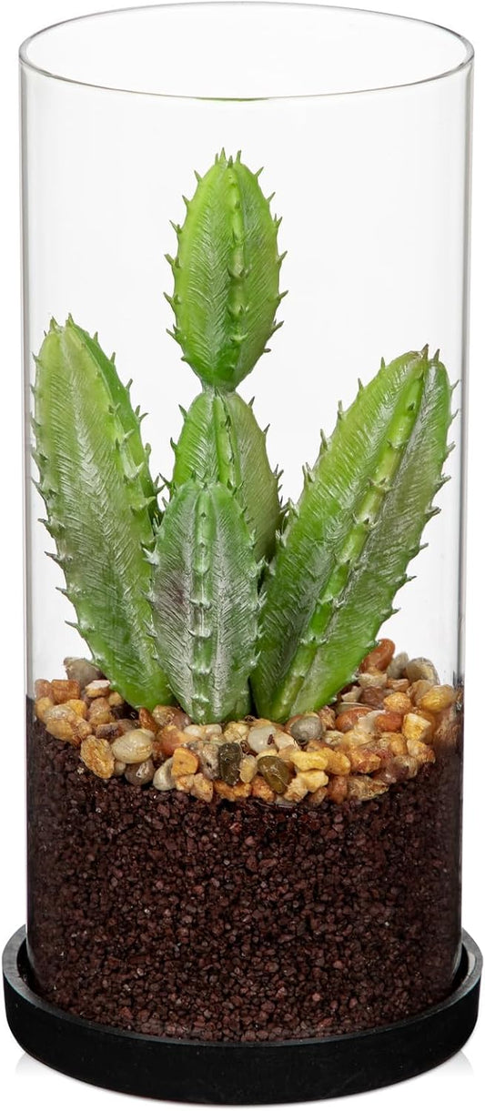 Artificial Succulent in Cylindrical Glass Vase Small Fake Cactus Plant with Modern Glass Terrarium Faux Plants Indoor Gift for Plant Lover Decor for Home Office Table Desk Shelf