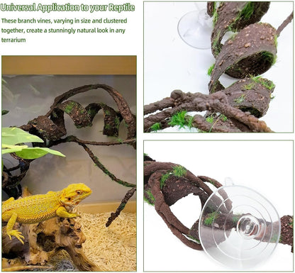 Reptile Jungle Vines Flexible Bend-A-Branch, 3.6Ft Reptile Climbing Branches, Chameleon Flexible Vine Decor,Terrarium Plants Decoration Accessories for Lizard Gecko Frog Snake
