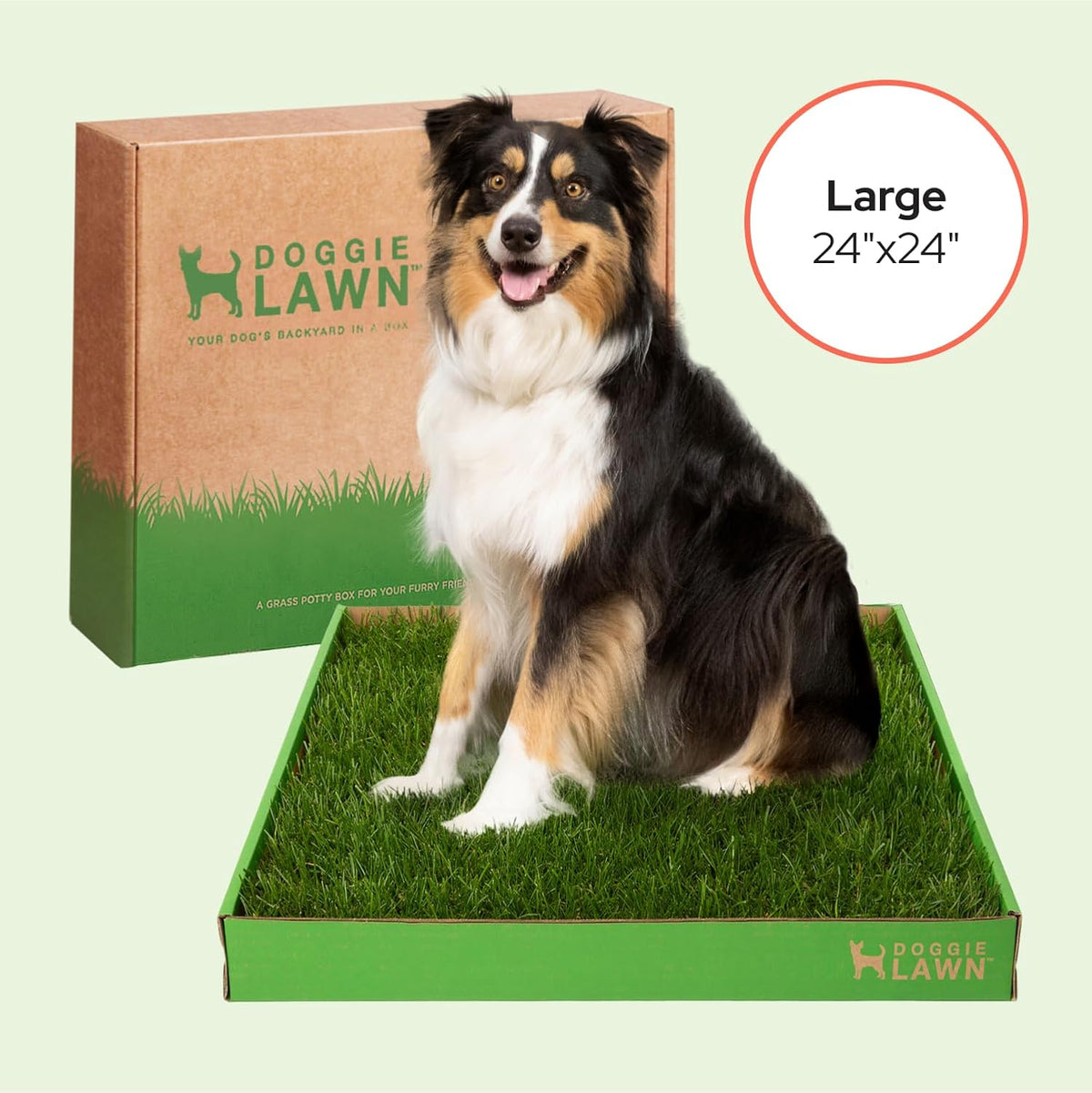 Real Grass Puppy Pads, Indoor Potty for Apartments, XLarge 24x24