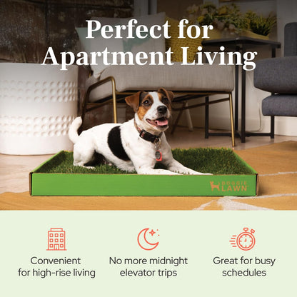Real Grass Puppy Pads, Indoor Potty for Apartments, XLarge 24x24
