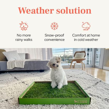 Real Grass Puppy Pads, Indoor Potty for Apartments, XLarge 24x24