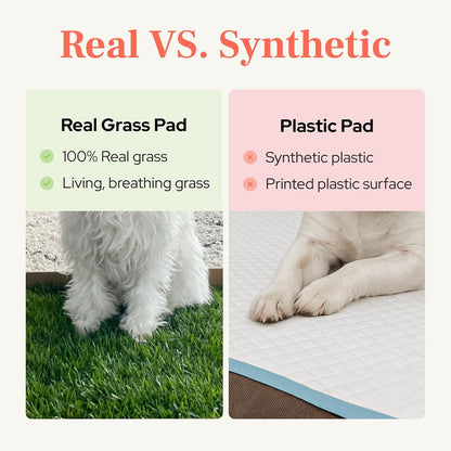 Real Grass Puppy Pads, Indoor Potty for Apartments, XLarge 24x24