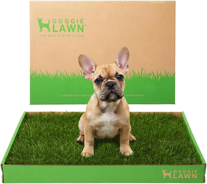 Real Grass Puppy Pads, Indoor Potty for Apartments, XLarge 24x24