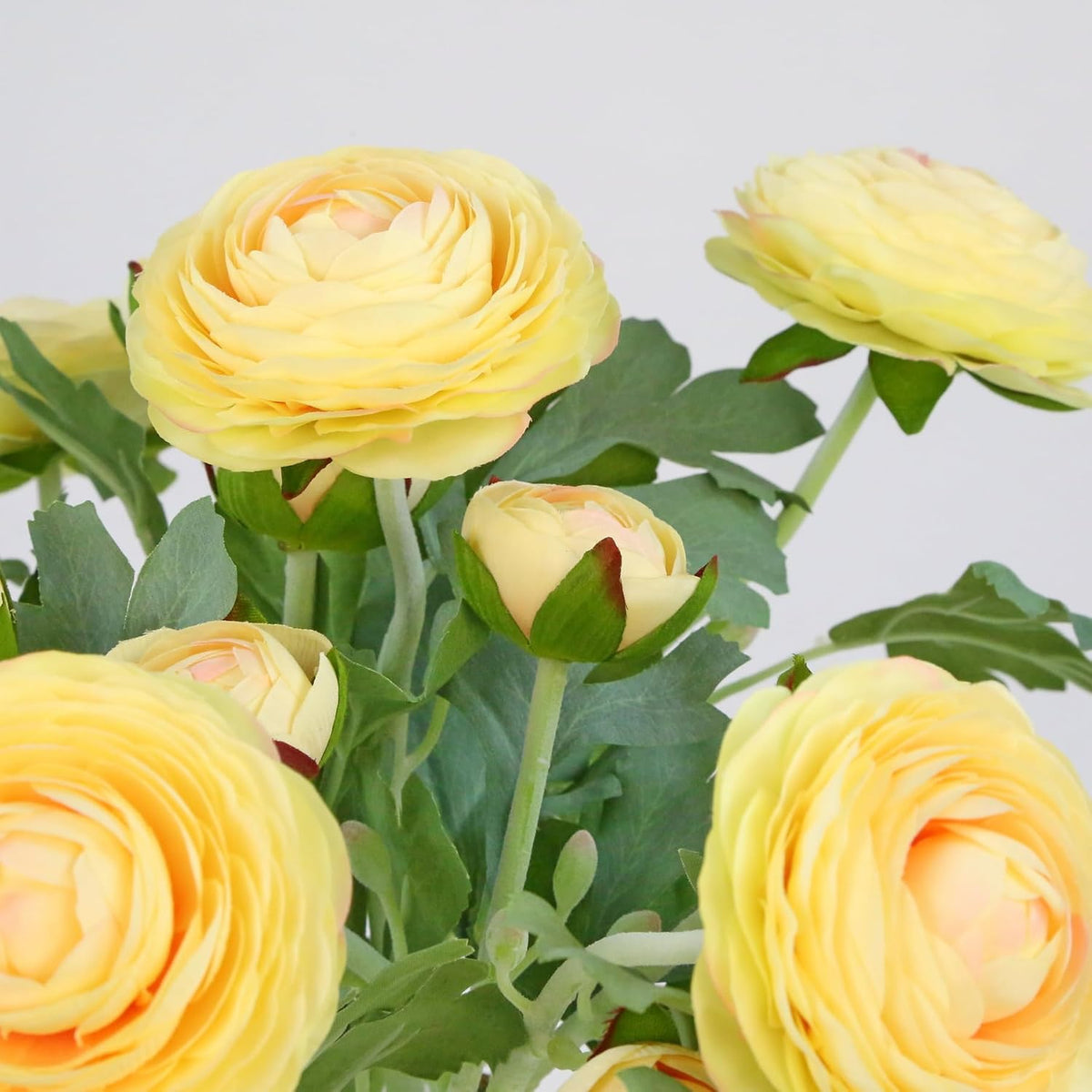 Artificial Ranunculus Flowers with Real Touch Stem, Silk Ranunculus Flowers (6 Pack) (White)