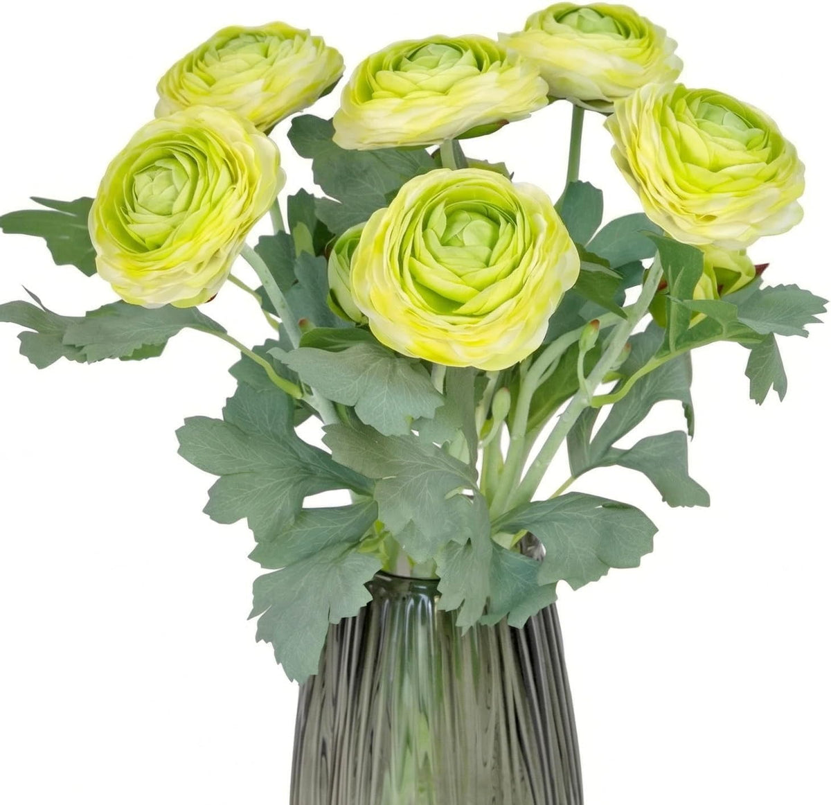Artificial Ranunculus Flowers with Real Touch Stem, Silk Ranunculus Flowers (6 Pack) (White)