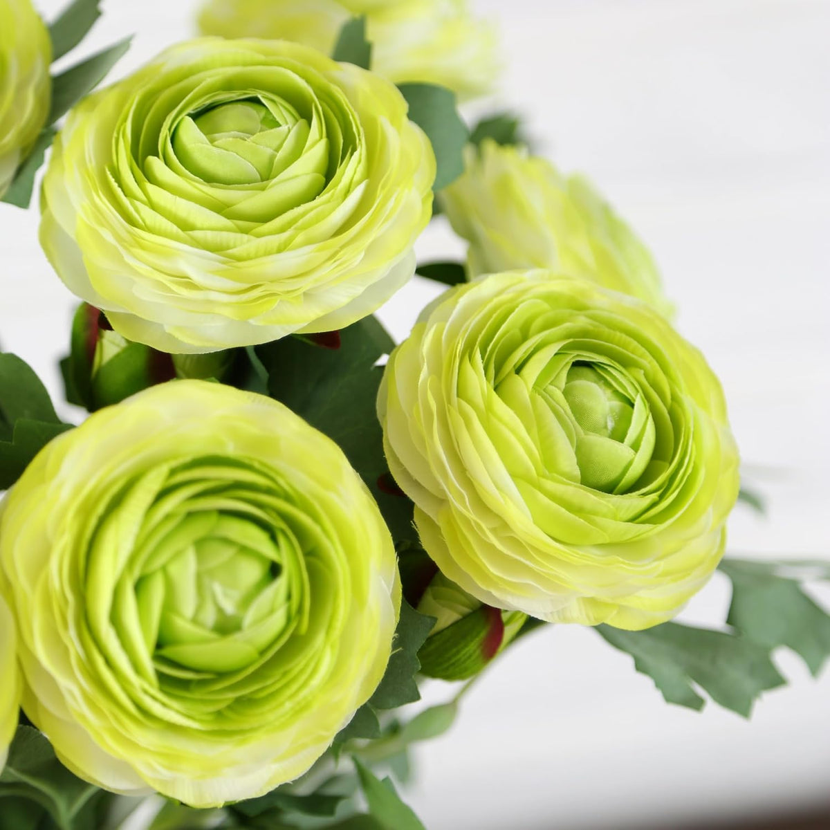 Artificial Ranunculus Flowers with Real Touch Stem, Silk Ranunculus Flowers (6 Pack) (White)