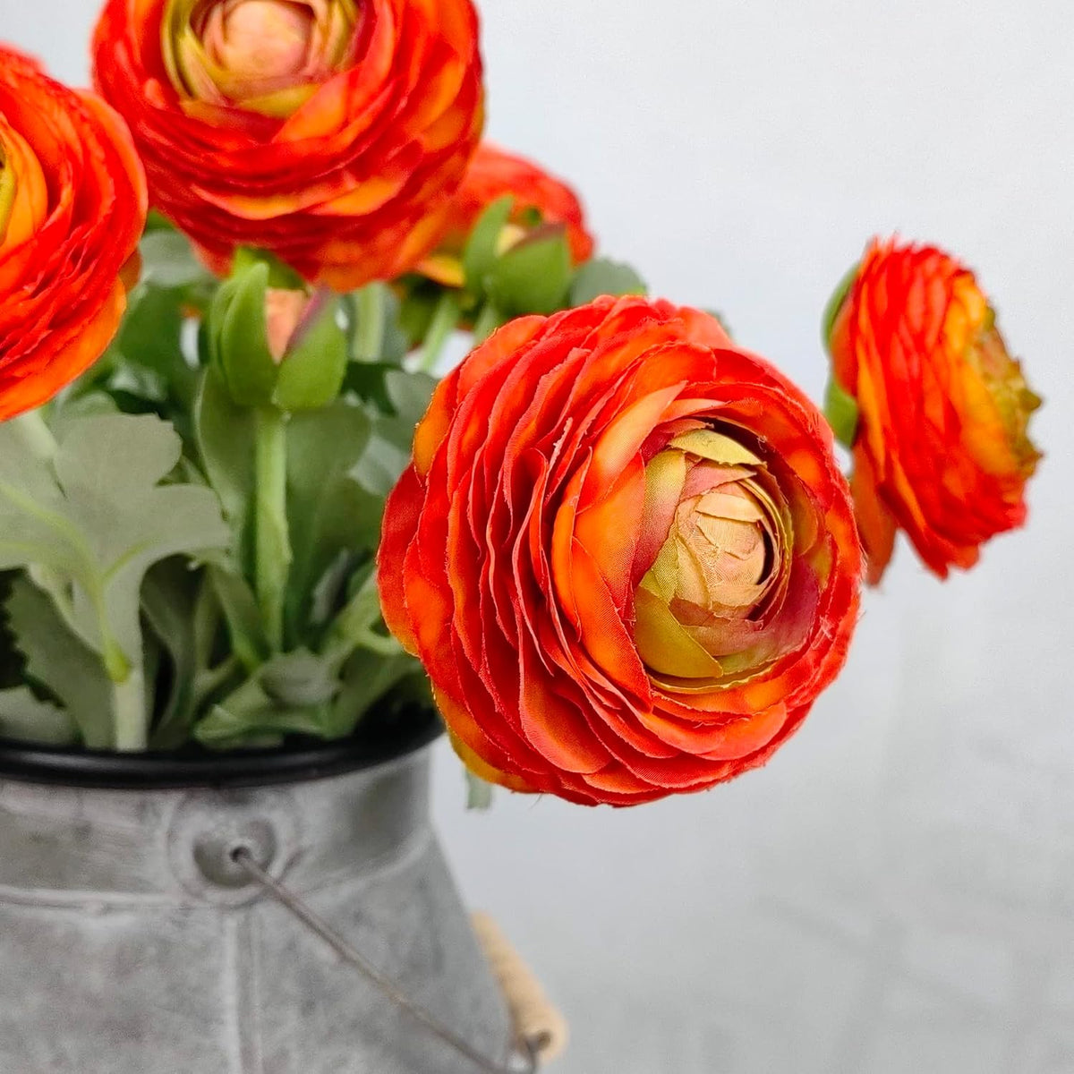 Artificial Ranunculus Flowers with Real Touch Stem, Silk Ranunculus Flowers (6 Pack) (White)