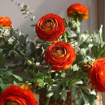 Artificial Ranunculus Flowers with Real Touch Stem, Silk Ranunculus Flowers (6 Pack) (White)