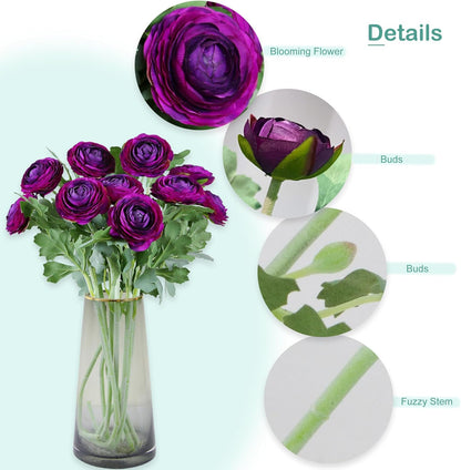 Artificial Ranunculus Flowers with Real Touch Stem, Silk Ranunculus Flowers (6 Pack) (White)