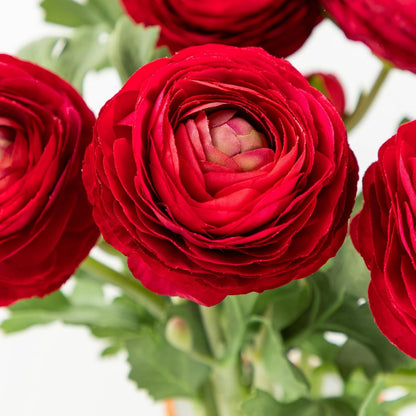 Artificial Ranunculus Flowers with Real Touch Stem, Silk Ranunculus Flowers (6 Pack) (White)