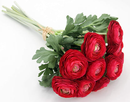 Artificial Ranunculus Flowers with Real Touch Stem, Silk Ranunculus Flowers (6 Pack) (White)