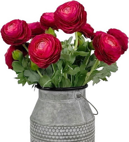 Artificial Ranunculus Flowers with Real Touch Stem, Silk Ranunculus Flowers (6 Pack) (White)