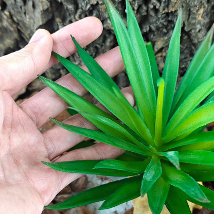 Reptile Plants Succulent, Artificial Desert Plant for Terrarium Decor, Bearded Dragon Tank Accessories fit Gecko Lizard Chameleon Ball Python Snake - Guzmania lingulata