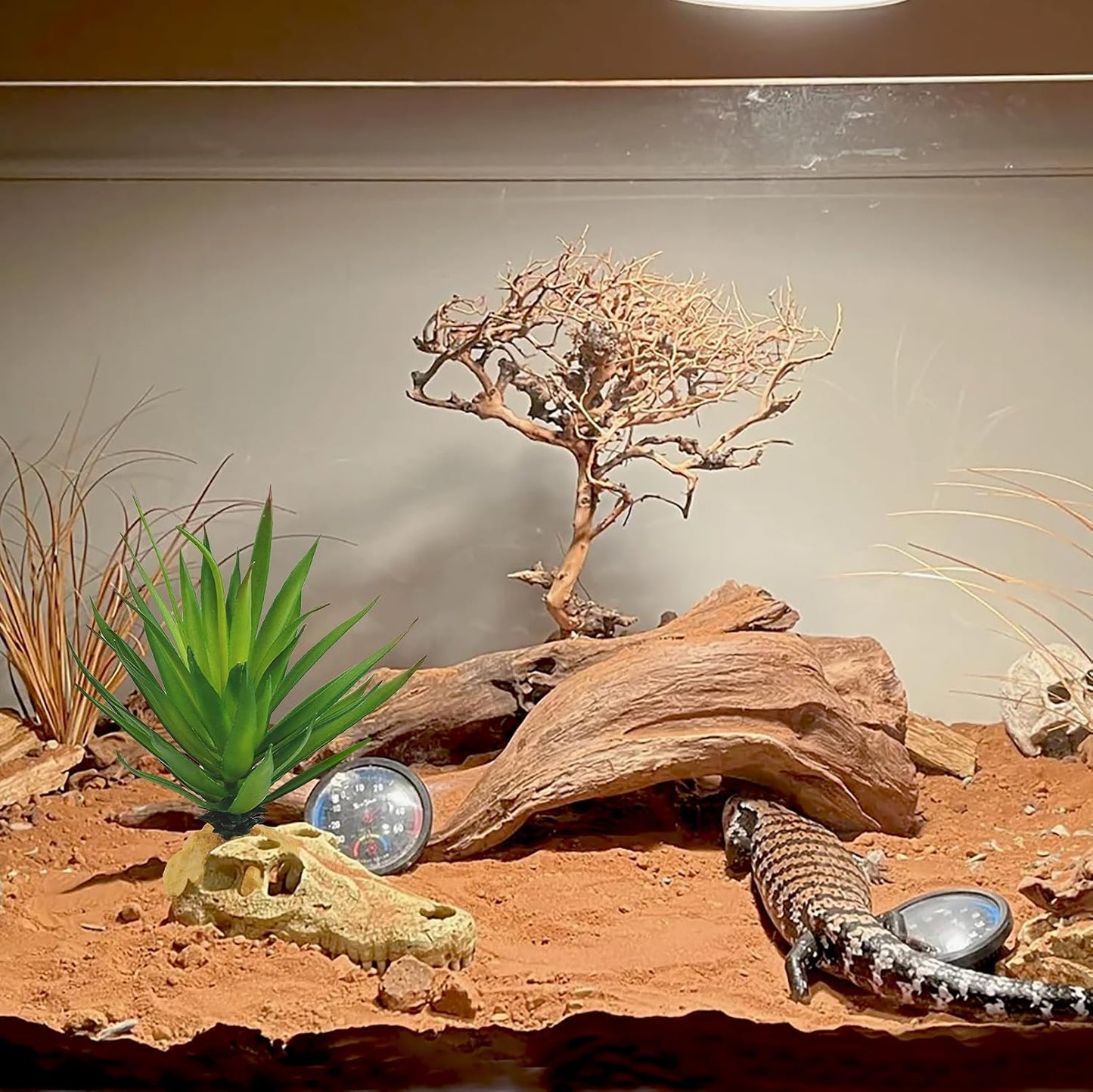 Reptile Plants Succulent, Artificial Desert Plant for Terrarium Decor, Bearded Dragon Tank Accessories fit Gecko Lizard Chameleon Ball Python Snake - Guzmania lingulata
