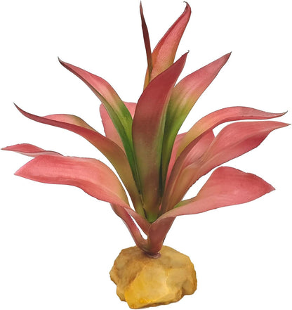 Reptile Plants Succulent, Artificial Desert Plant for Terrarium Decor, Bearded Dragon Tank Accessories fit Gecko Lizard Chameleon Ball Python Snake - Guzmania lingulata
