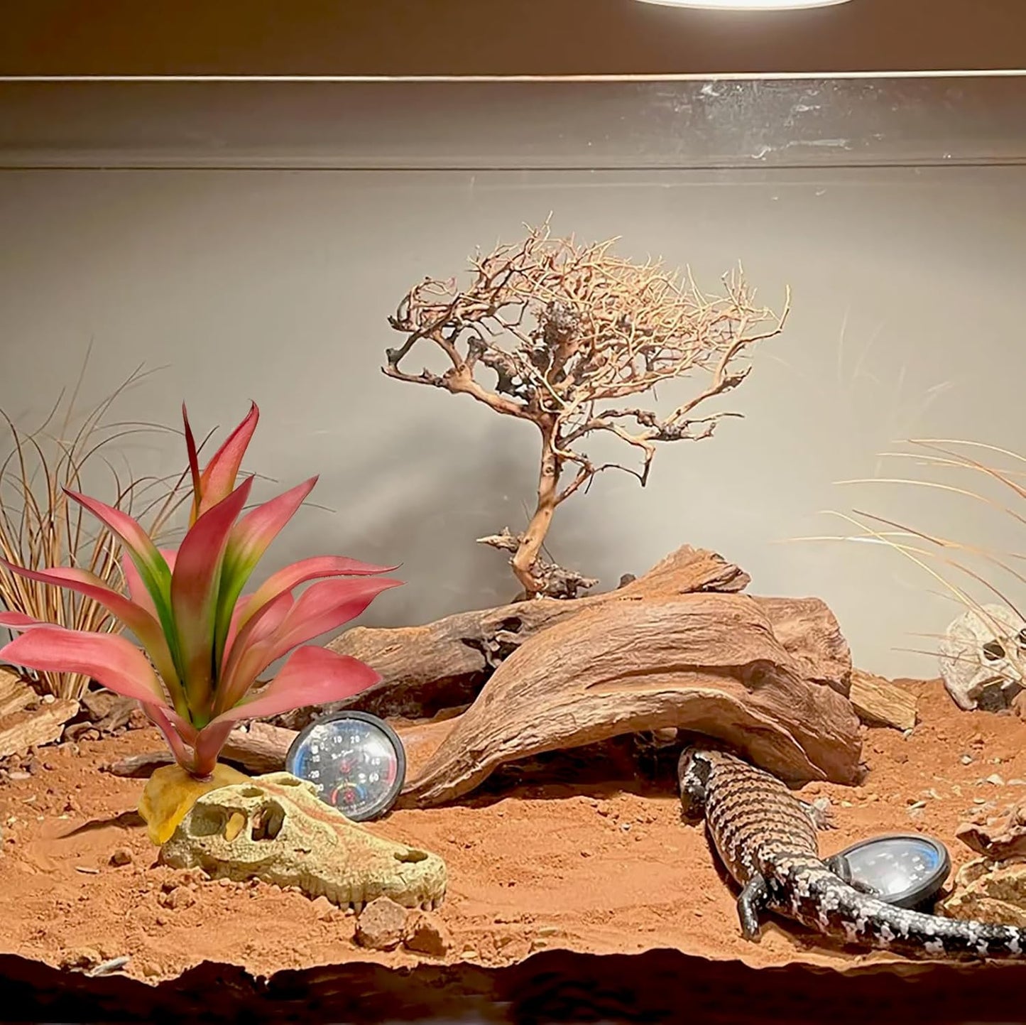 Reptile Plants Succulent, Artificial Desert Plant for Terrarium Decor, Bearded Dragon Tank Accessories fit Gecko Lizard Chameleon Ball Python Snake - Guzmania lingulata