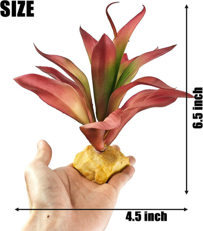 Reptile Plants Succulent, Artificial Desert Plant for Terrarium Decor, Bearded Dragon Tank Accessories fit Gecko Lizard Chameleon Ball Python Snake - Guzmania lingulata