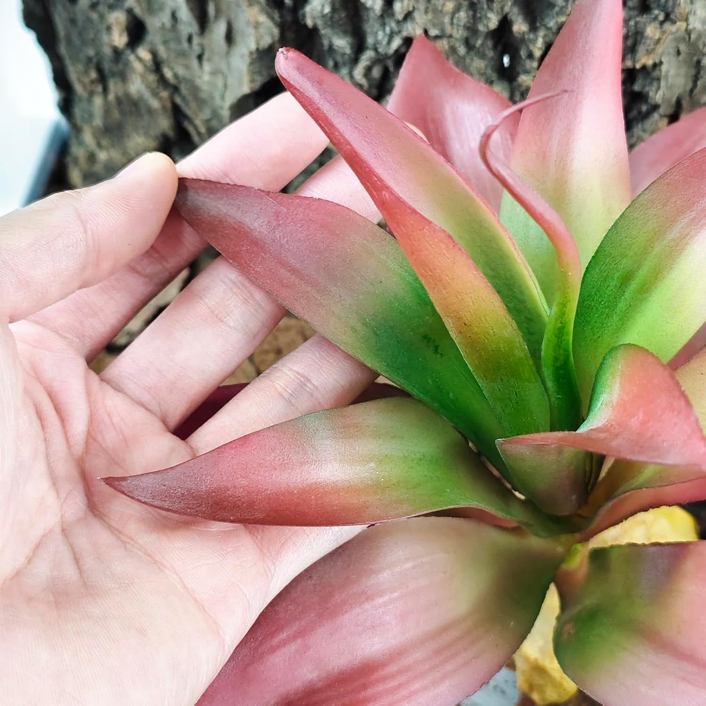 Reptile Plants Succulent, Artificial Desert Plant for Terrarium Decor, Bearded Dragon Tank Accessories fit Gecko Lizard Chameleon Ball Python Snake - Guzmania lingulata
