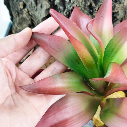 Reptile Plants Succulent, Artificial Desert Plant for Terrarium Decor, Bearded Dragon Tank Accessories fit Gecko Lizard Chameleon Ball Python Snake - Guzmania lingulata