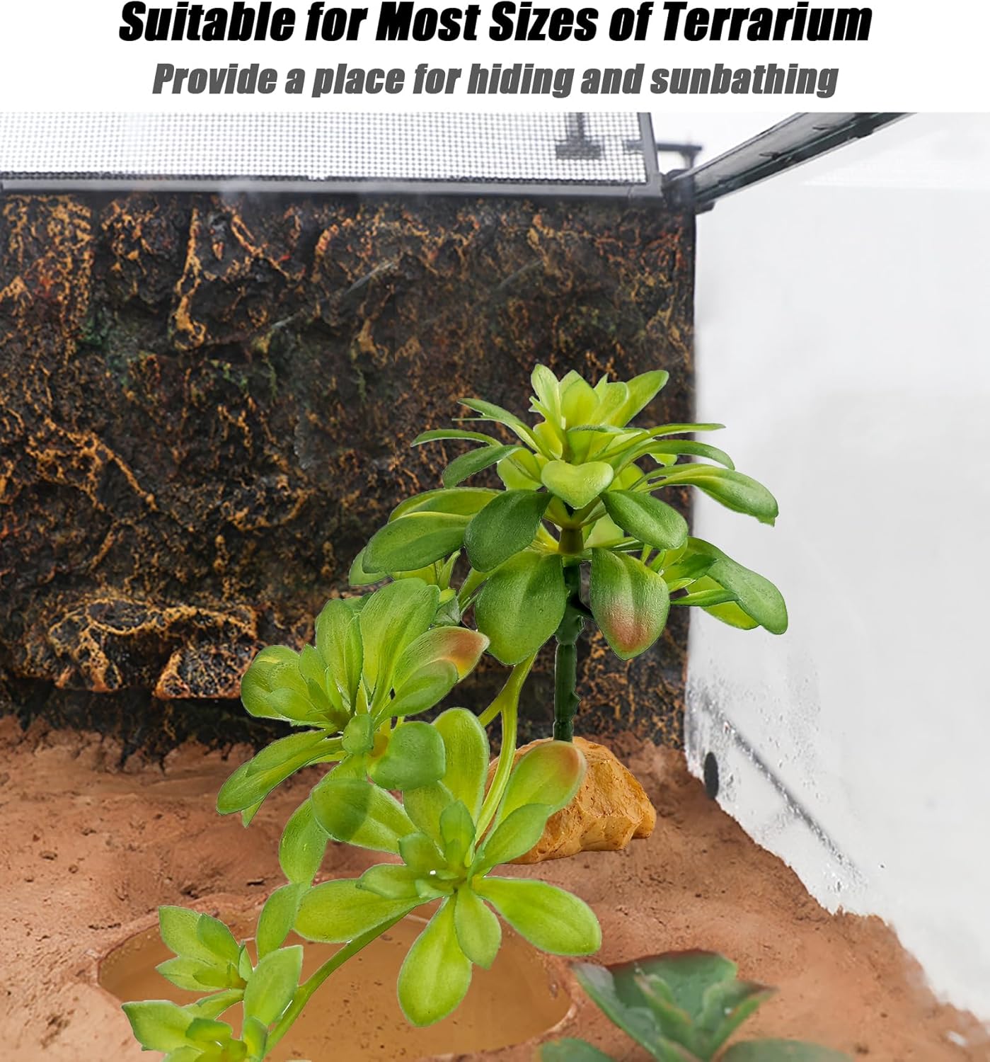 Reptile Plants Succulent, Artificial Desert Plant for Terrarium Decor, Bearded Dragon Tank Accessories fit Gecko Lizard Chameleon Ball Python Snake - Guzmania lingulata