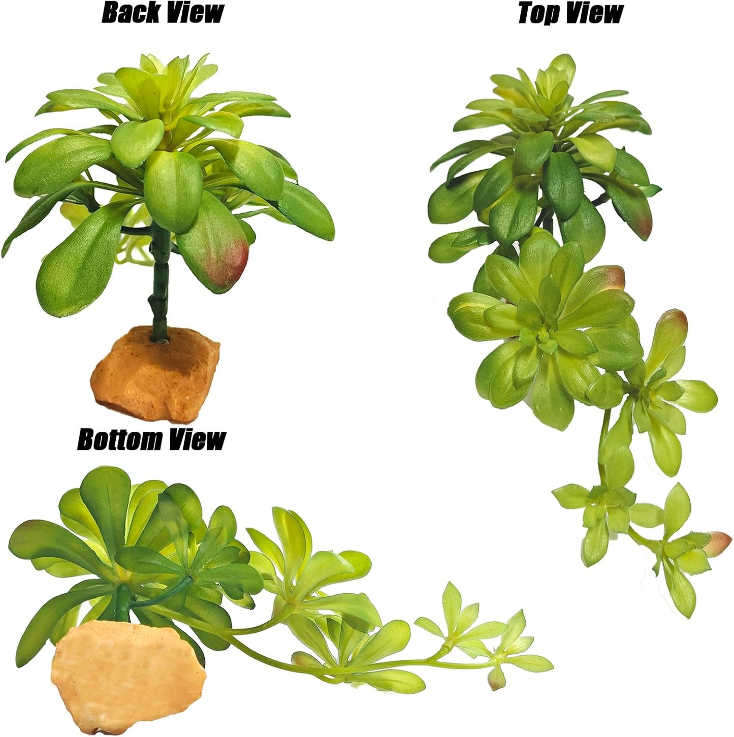 Reptile Plants Succulent, Artificial Desert Plant for Terrarium Decor, Bearded Dragon Tank Accessories fit Gecko Lizard Chameleon Ball Python Snake - Guzmania lingulata