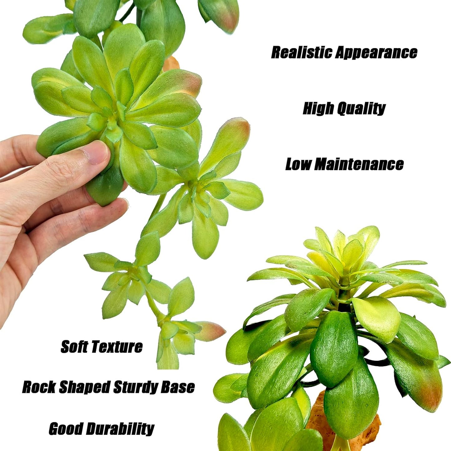 Reptile Plants Succulent, Artificial Desert Plant for Terrarium Decor, Bearded Dragon Tank Accessories fit Gecko Lizard Chameleon Ball Python Snake - Guzmania lingulata