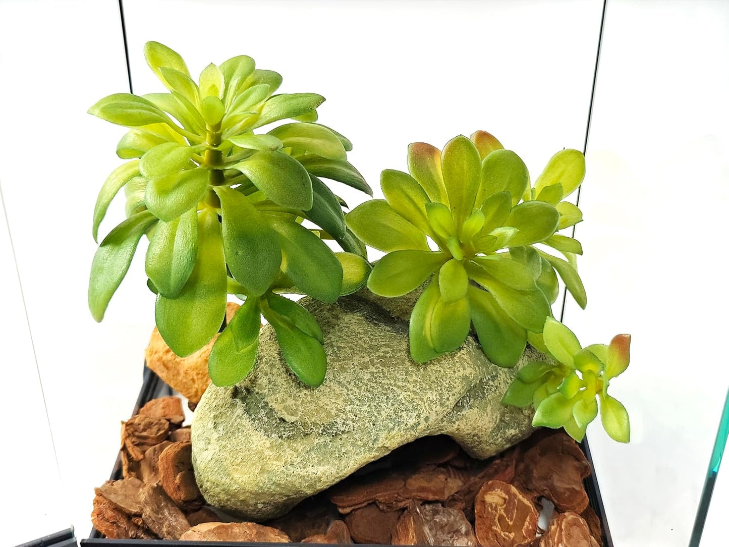 Reptile Plants Succulent, Artificial Desert Plant for Terrarium Decor, Bearded Dragon Tank Accessories fit Gecko Lizard Chameleon Ball Python Snake - Guzmania lingulata