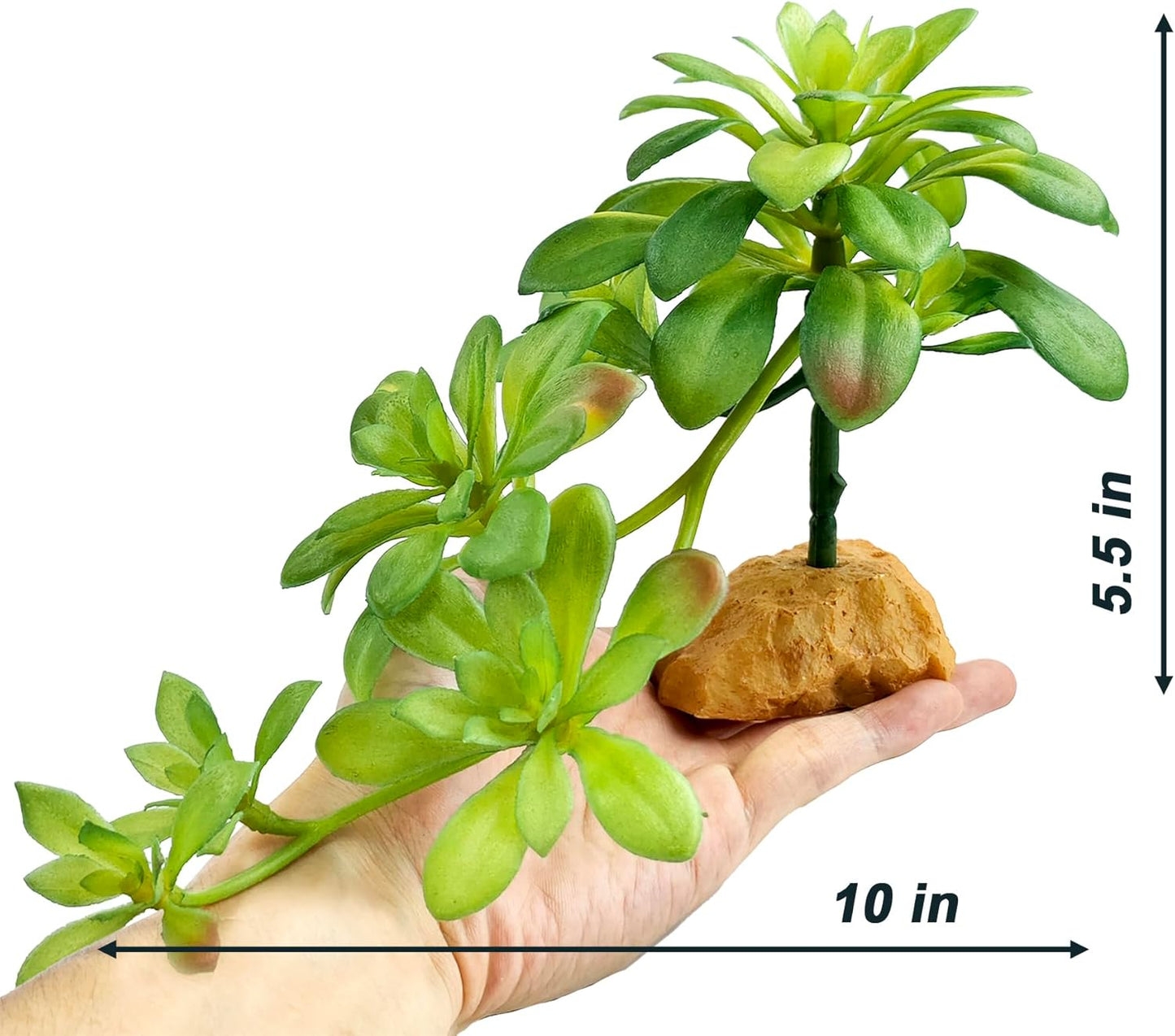 Reptile Plants Succulent, Artificial Desert Plant for Terrarium Decor, Bearded Dragon Tank Accessories fit Gecko Lizard Chameleon Ball Python Snake - Guzmania lingulata