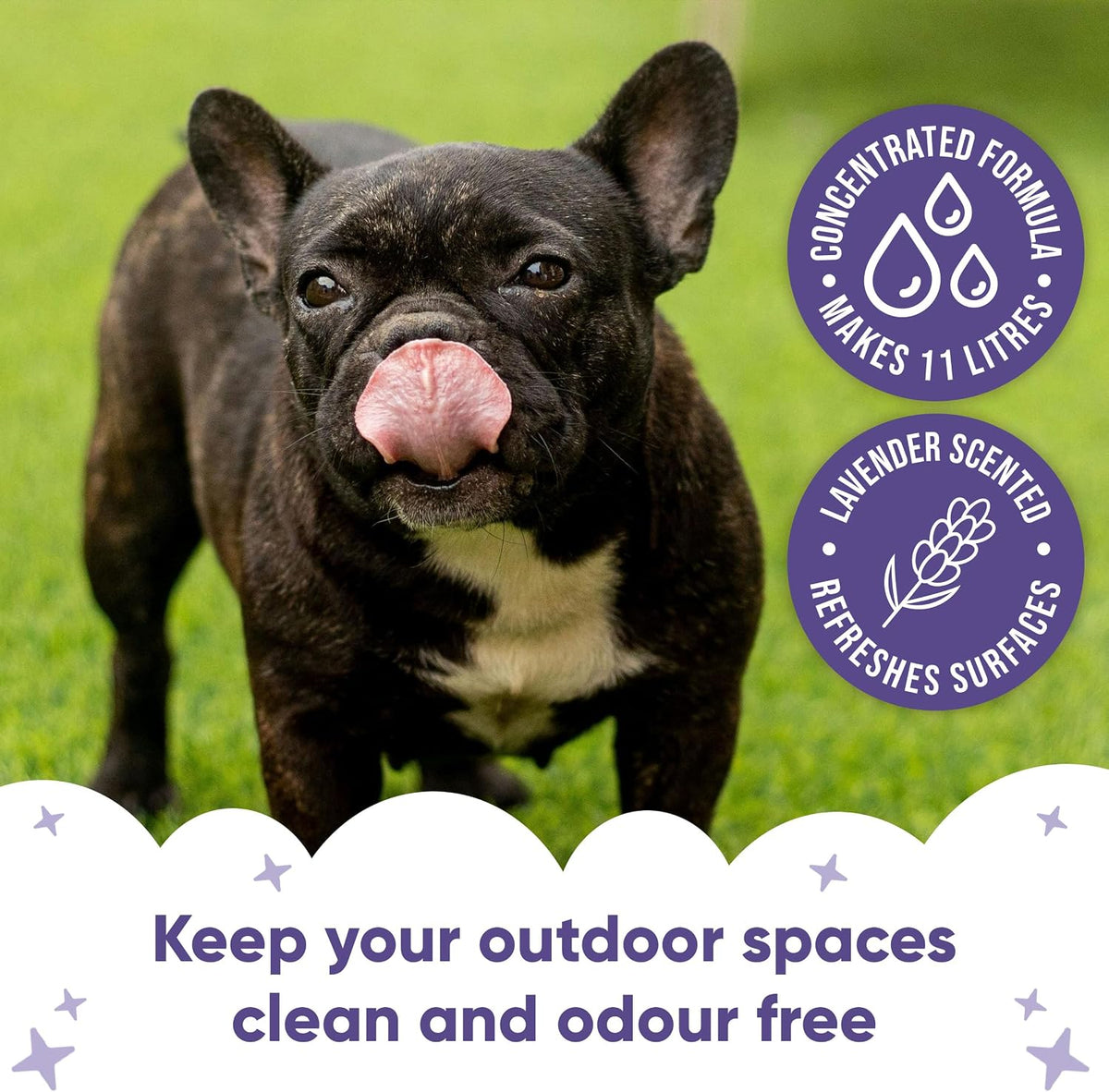 Artificial Grass Cleaner Concentrate - Lavender Scent - 1L - Outdoor Surface Cleaner for Synthetic Lawns & Patios, Fast Acting Odour Remover & Sanitiser, Makes 11L, Covers up to 100m²