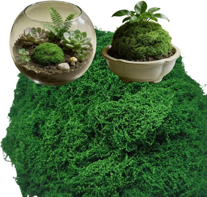3.5 Oz Fluffy Cloud-Like Artificial Moss, Craft Use Simulated Moss for Indoor Potted Landscaping, Fairy Garden Decor, Terrarium, Miniature & Model Scene Design (Light Green)