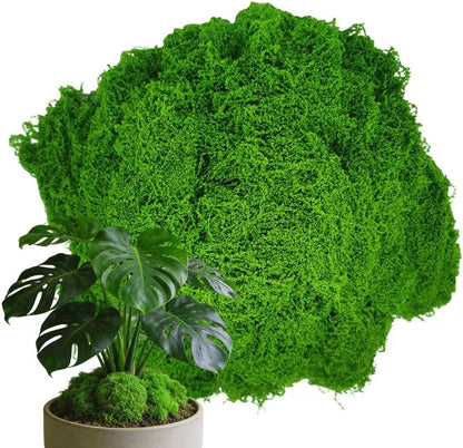 3.5 Oz Fluffy Cloud-Like Artificial Moss, Craft Use Simulated Moss for Indoor Potted Landscaping, Fairy Garden Decor, Terrarium, Miniature & Model Scene Design (Light Green)