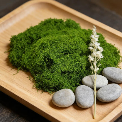 3.5 Oz Fluffy Cloud-Like Artificial Moss, Craft Use Simulated Moss for Indoor Potted Landscaping, Fairy Garden Decor, Terrarium, Miniature & Model Scene Design (Light Green)
