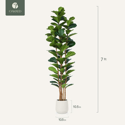 7ft Artificial Fiddle Leaf Fig Tree with White Planter, Tall Fake Tree with 5 Natural Wood Trunk for Home Decor, Faux Ficus Tree Fake Moss for Indoor Office Living Room