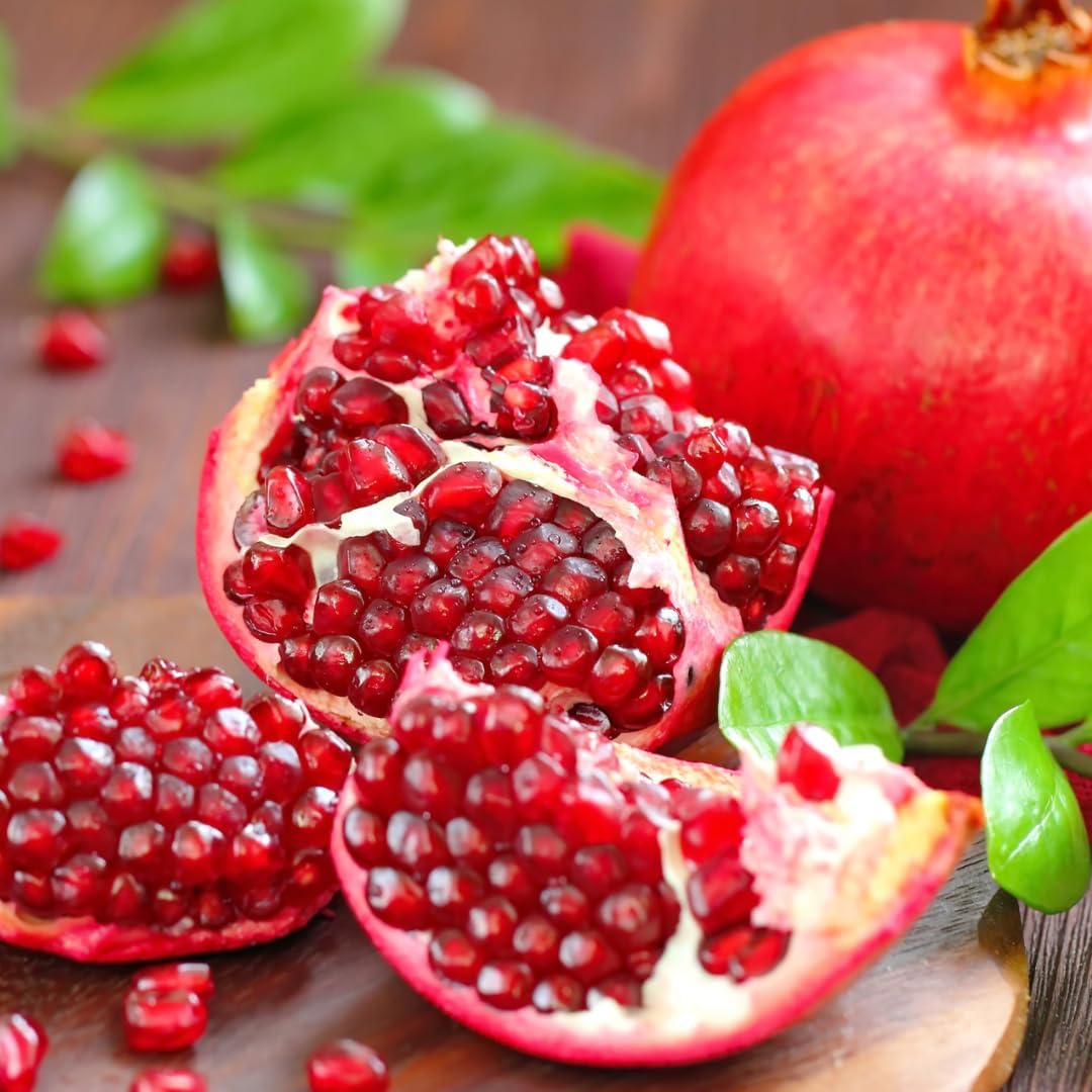 Wonderful Pomegranate Tree Live, Backyard Orchard Tree, 10-12 Inch Tall