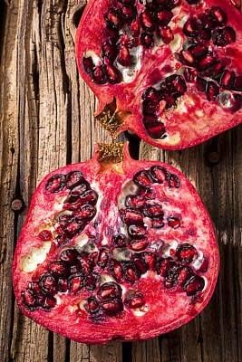 Wonderful Pomegranate Tree Live, Backyard Orchard Tree, 10-12 Inch Tall