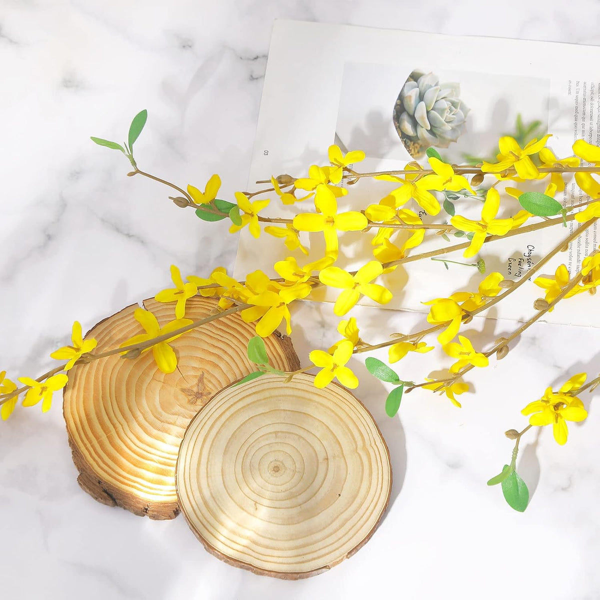6Pcs Artificial Forsythia Flower Branches 39.4 Inch Long Stem