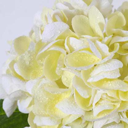 White Hydrangea Artificial Flowers, 22.5In Latex Faux Real Touch Large Hydrangea Flowers with Long Stems & Leaves for Home Office Decor Wedding Party Arrangements(White)