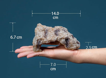 Reptile Hideout Cave Resin Simulation Rock Decor for Turtles, Lizards, Bearded Dragons, Snakes, and Geckos - Small Habitat Décor