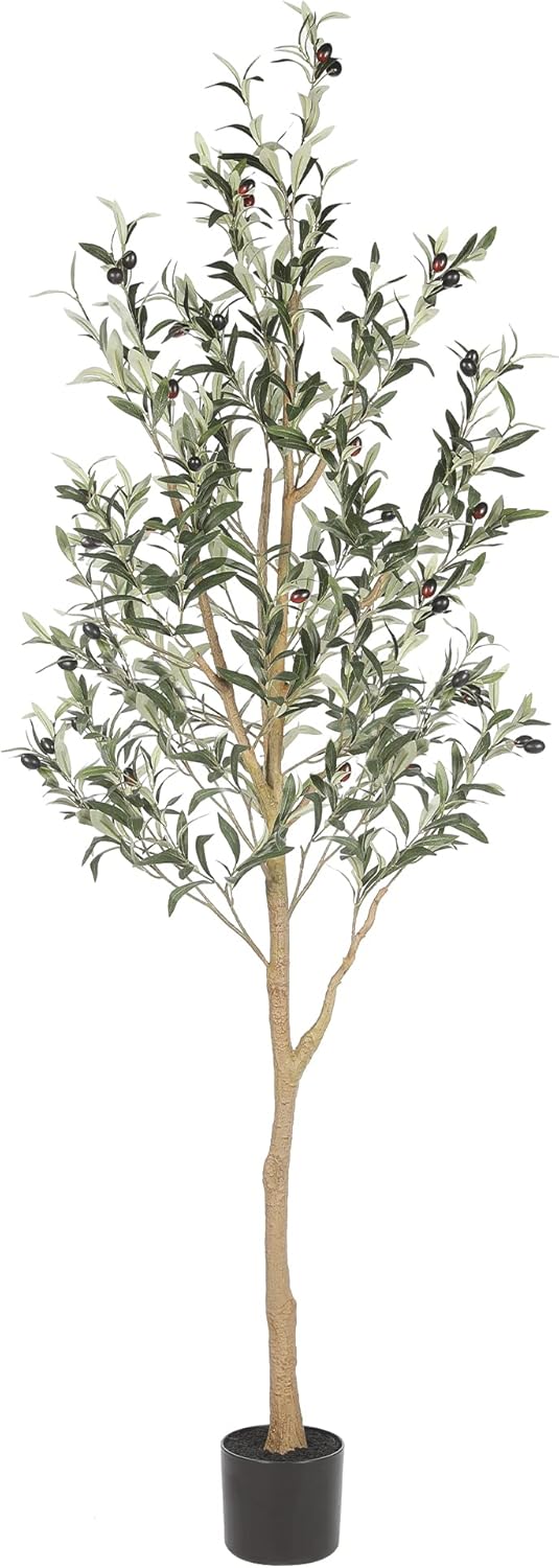 6ft Olive Trees Artificial Indoor with Realistic Appearance | Tall Faux Olive Tree with Natural Trunk, Lifelike Leaves, Sturdy Base - Fake Olive Trees for Modern Home Office Decor